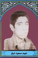 آلبوم اختصاصی تصاویر شهید مسعود شیخ باغبابوییه . کد 1403208211 آ