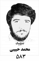 آلبوم اختصاصی تصاویر شهید محمد حبیبی . کد 1403219454 آ