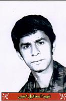 آلبوم اختصاصی تصاویر شهید اسماعیل امینی . کد 1403222219 آ