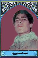 آلبوم اختصاصی تصاویر شهید احمد بهروزه . کد 1403223569 آ