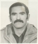 آلبوم اختصاصی تصاویر شهید مراد ترند . کد 1403224669 آ