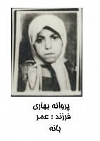 آلبوم اختصاصی تصاویر شهید پروانه بهاری . کد 1403229136 آ
