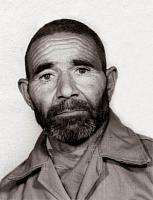 آلبوم اختصاصی تصاویر شهید محمد شریفی . کد 1403231645 آ