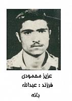 آلبوم اختصاصی تصاویر شهید عزیز محمودی . کد 1403236510 آ