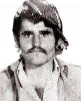 آلبوم اختصاصی تصاویر شهید محمد محمودی . کد 1403236529 آ