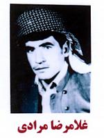 آلبوم اختصاصی تصاویر شهید غلام رضا مرادی . کد 1403236757 آ