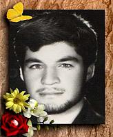 آلبوم اختصاصی تصاویر شهید حسین نظری . کد 1403238459 آ