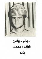 آلبوم اختصاصی تصاویر شهید بهنام بهرامی . کد 1403242035 آ
