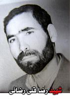 آلبوم اختصاصی تصاویر شهید رضاقلی رضایی . کد 1403244649 آ