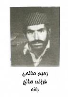 آلبوم اختصاصی تصاویر شهید رحمان صالحی . کد 1403246666 آ