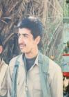 آلبوم اختصاصی تصاویر شهید محمود کمالی دولت ابادی . کد 1403249438 آ