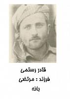 آلبوم اختصاصی تصاویر شهید قادر رستمی . کد 1403251483 آ