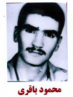 آلبوم اختصاصی تصاویر شهید محمود باقری . کد 1403254090 آ