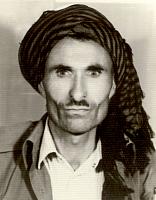 آلبوم اختصاصی تصاویر شهید خضر بایزیدی . کد 1403254157 آ