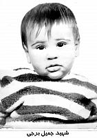 آلبوم اختصاصی تصاویر شهید جمیل برجی . کد 1403254294 آ