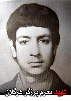 آلبوم اختصاصی تصاویر شهید محرم برزگر . کد 1403254320 آ