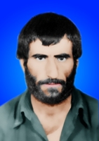 آلبوم اختصاصی تصاویر شهید کامل تفضلی . کد 1403255281 آ