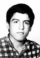 آلبوم اختصاصی تصاویر شهید امیررضا تمجیدی . کد 1403255350 آ