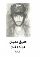 آلبوم اختصاصی تصاویر شهید صدیق حسینی . کد 1403256578 آ