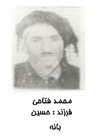 آلبوم اختصاصی تصاویر شهید جمیله فتاحی . کد 1403258642 آ