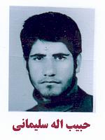 آلبوم اختصاصی تصاویر شهید حبیب اله سلیمانی . کد 1403259656 آ