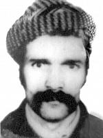 آلبوم اختصاصی تصاویر شهید علی فتحی . کد 1403262510 آ