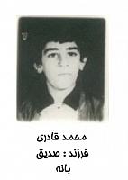 آلبوم اختصاصی تصاویر شهید محمد قادری . کد 1403262947 آ