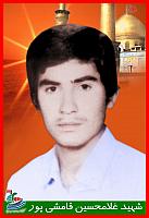 آلبوم اختصاصی تصاویر شهید غلام حسین قامشی پور . کد 1403263052 آ