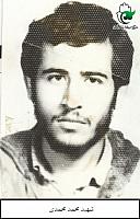 آلبوم اختصاصی تصاویر شهید محمد محمدی . کد 1403263978 آ