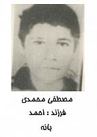 آلبوم اختصاصی تصاویر شهید مصطفی محمدی . کد 1403263993 آ