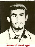 آلبوم اختصاصی تصاویر شهید نعمت محمدی . کد 1403264011 آ