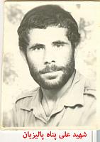 آلبوم اختصاصی تصاویر شهید علی پناه بالیزیان . کد 1403268842 آ