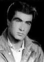 آلبوم اختصاصی تصاویر شهید پرویز برزگرپالچلقو . کد 1403269273 آ