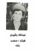 آلبوم اختصاصی تصاویر شهید عبداله رشیدی . کد 1403272242 آ