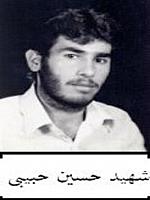 آلبوم اختصاصی تصاویر شهید محمدحسین حبیبی . کد 1403272258 آ