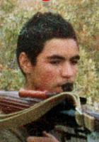 آلبوم اختصاصی تصاویر شهید سیدحسن حسینی . کد 1403272972 آ