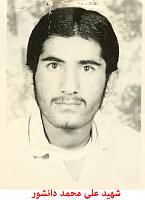 آلبوم اختصاصی تصاویر شهید علی محمد دانشور . کد 1403275388 آ