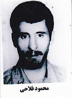 آلبوم اختصاصی تصاویر شهید محمود فلاحی . کد 1403283389 آ