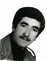 آلبوم اختصاصی تصاویر شهید محمد فلک الدین . کد 1403283402 آ