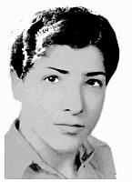 آلبوم اختصاصی تصاویر شهید مهدی قربانی . کد 1403283592 آ