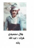 آلبوم اختصاصی تصاویر شهید جلال محمودی . کد 1403284909 آ