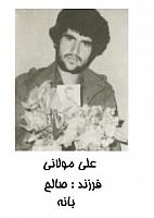 آلبوم اختصاصی تصاویر شهید علی مولایی . کد 1403287456 آ