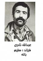 آلبوم اختصاصی تصاویر شهید عبداله نادری . کد 1403288397 آ