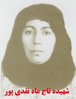 آلبوم اختصاصی تصاویر شهید تاج ماه نقدی پوردرویش ابادی . کد 1403289465 آ