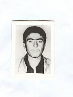 آلبوم اختصاصی تصاویر شهید فتح اله ابراهیمی . کد 1403293008 آ