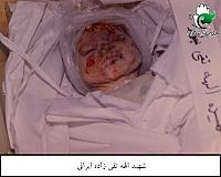 آلبوم اختصاصی تصاویر شهید الهه تقی زاده ایرانی . کد 1403296353 آ