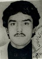 آلبوم اختصاصی تصاویر شهید امیر تیموری . کد 1403296523 آ