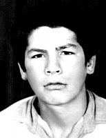 آلبوم اختصاصی تصاویر شهید اسماعیل قربانی . کد 1403300690 آ