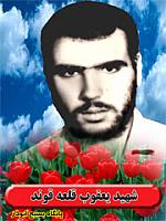 آلبوم اختصاصی تصاویر شهید یعقوب قلعه قوند . کد 1403300856 آ
