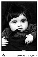 آلبوم اختصاصی تصاویر شهید زکیه کریمیان ثانی ورجوی . کد 1403301589 آ